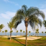 Iate Clube IV - foto tirada em agosto/2020