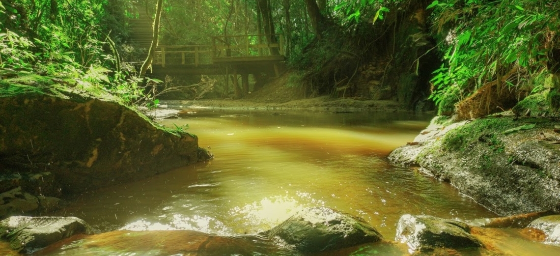 Curiosidades sobre as trilhas ecológicas do Ninho Verde II que você precisa saber