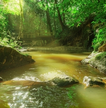 Curiosidades sobre as trilhas ecológicas do Ninho Verde II que você precisa saber